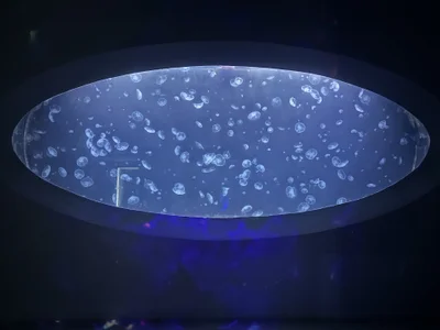 RomaaNaty Public صورة واحدة|RomaaNaty Public صورتان|RomaaNaty Public  3 صور|RomaaNaty Public  3 صورة