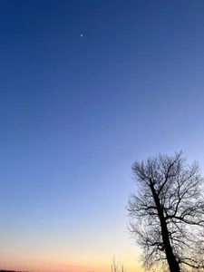 EvaThopson nature and me Pic 3