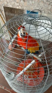 Sabina_H's photo