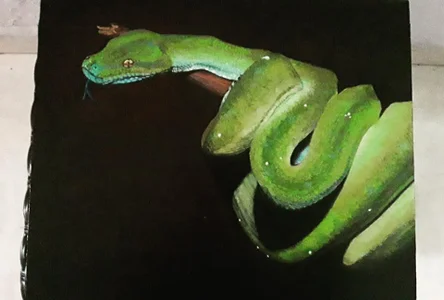 cherrydelioncourt My paintings ❤❤❤ Pic 6