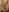 Wet__Bunny's photo