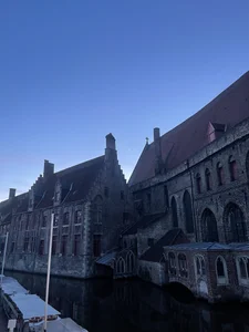 Alma- 🇧🇪 Pic 6