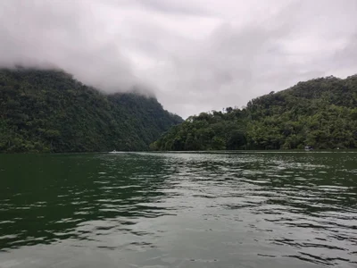 TigerStripes1_World Bild 4