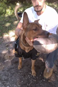 Public de Slick69j  4 Imagens