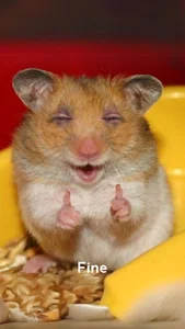 misshoneyxxx Funny photos ♥ Εικόνα 7