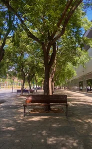 aisha_bx I want to share a little of my trip with you... that's why I wasn't there for a few days...💕🌟 Gambar 7