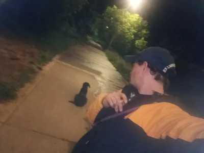 Eldiablo2055 Public зображення 4