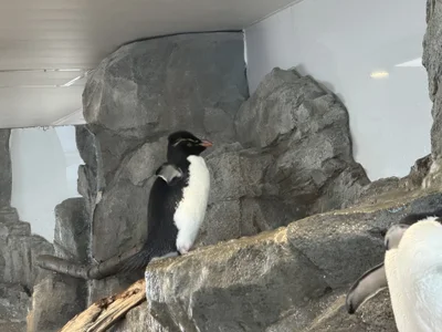 水族館 de souitirou20  7 Imagens