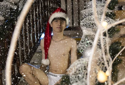 bruce_hans Merry Chritsmas! Bilde