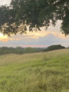 demonaughtyyyのPlacesの枚の写真