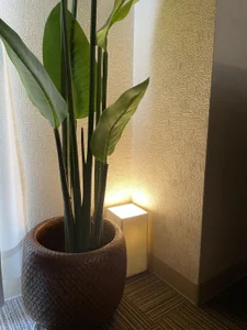 Public de momo_love_  4 Imagens