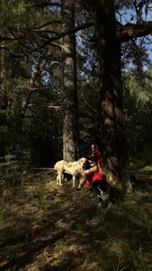 JennyFerguson enchanted forest😍 Gambar 3