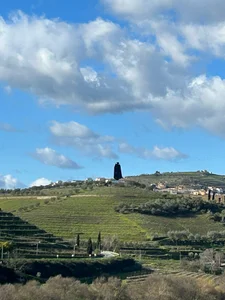 Public de Gigolo_profissional  4 Imagens