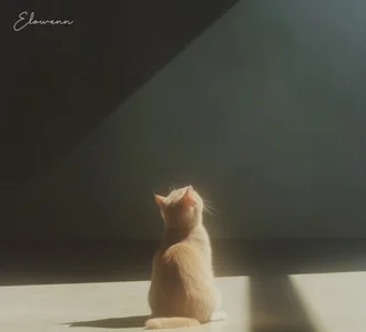 --102KymMiiss--のPublicの枚の写真