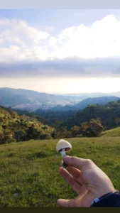 Thomasjons_ Public  7টি ছবি