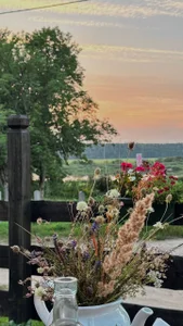 NinaNightt Life Pic 7