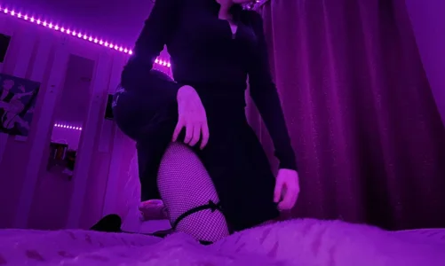 _Sneko_Public图片 4