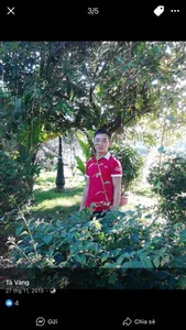 TaVictorboy My 圖片 3