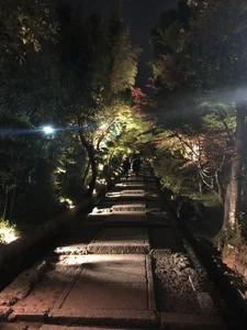 oMIOoQ みおのこと♡ 사진 3