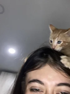 babesamantaのMy kitty😻の 3枚の写真