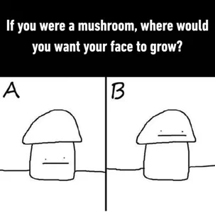 MaddisonHaas memes🤭 Pic 3