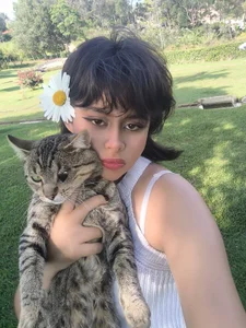 my cat de rosse_taylorx1  2 Imagens