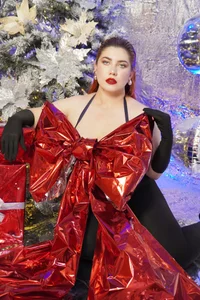 any_vega7のMERRY CHRISTMAS ❄❄の 9枚の写真