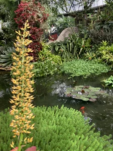 sebas_cadavid Nature Pic 4