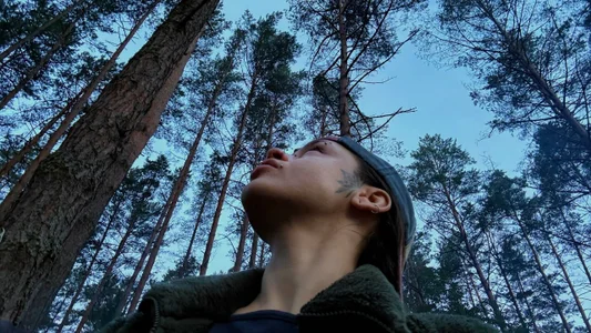 _Forest_Lina_のMe and summer 2026🌿の 5枚の写真