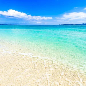 SHION_oO: ALBUM♡ ( 2 фото)