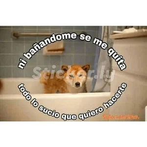 alejopitudo10のPublicの 6枚の写真