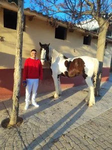 Steven24r30 Public Gambar