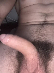 rexrocket33 Public Fotka 7