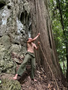 heilgarbest Rainforest Poză 7