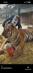 Eu de Almeida91  2 Imagens