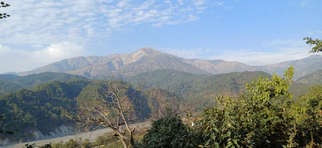 OnceaCricketer Public รูป  2