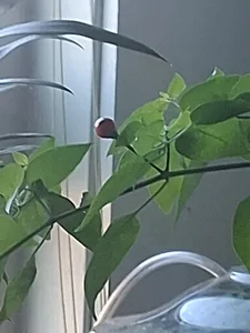 LaloSalamanca69 Public Pic 7