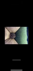 Percy0904 Public  2. fénykép