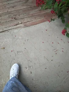 YanaMayer Public Pic