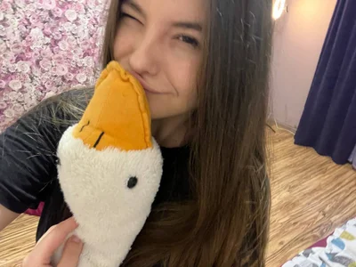 DianeAdams My favorite goose Pic 5