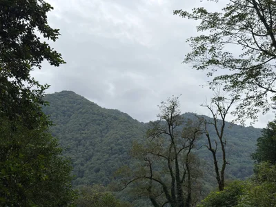 MeviCoral I love nature — do you love it?🌿 Pic 7