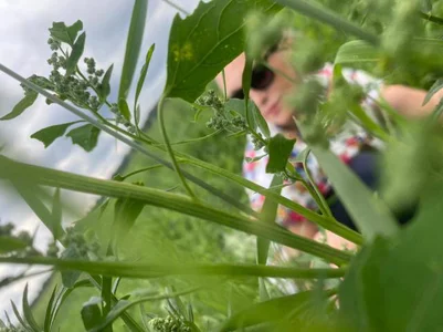 Afanasia life in reality . fénykép