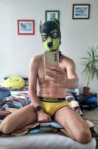 puppy_tomik Public зображення