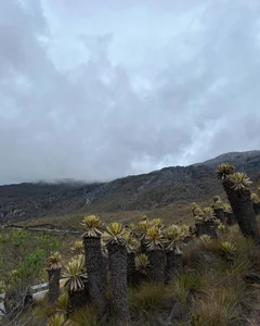 AshleyandCleo Nature Foto 3