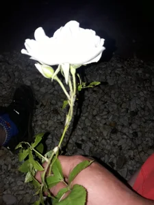 misiaty96 Public Poză 7