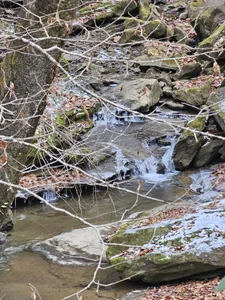 Outdoor Adventures With MFR de MasterForgedRayy  4 photos