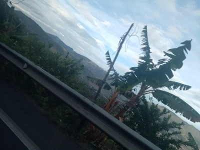 joan-star Vacation Pic 5