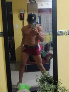 _white_fox_1の_white_fox_1の 4枚の写真