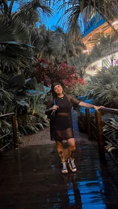 Hinataw33d01 Me Εικόνα 4