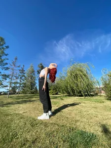 evanellson A sunny day Poză 2